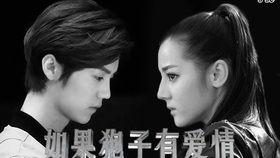 明星小助理鹿迪,明星小助理的星光之路